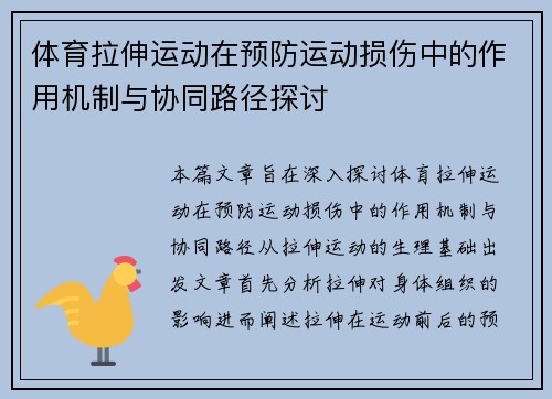体育拉伸运动在预防运动损伤中的作用机制与协同路径探讨
